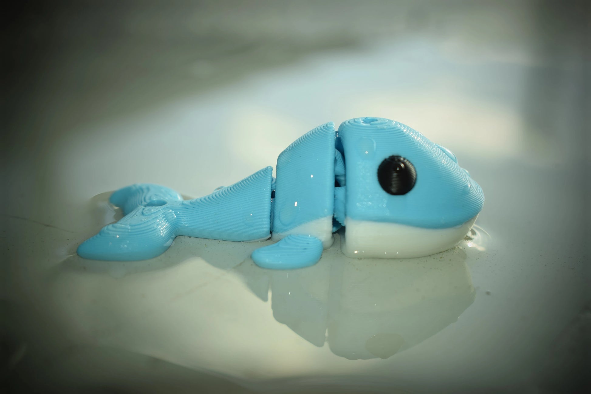 FlexiPets Flexi Walvis sleutelhanger met weerspiegeling in het water